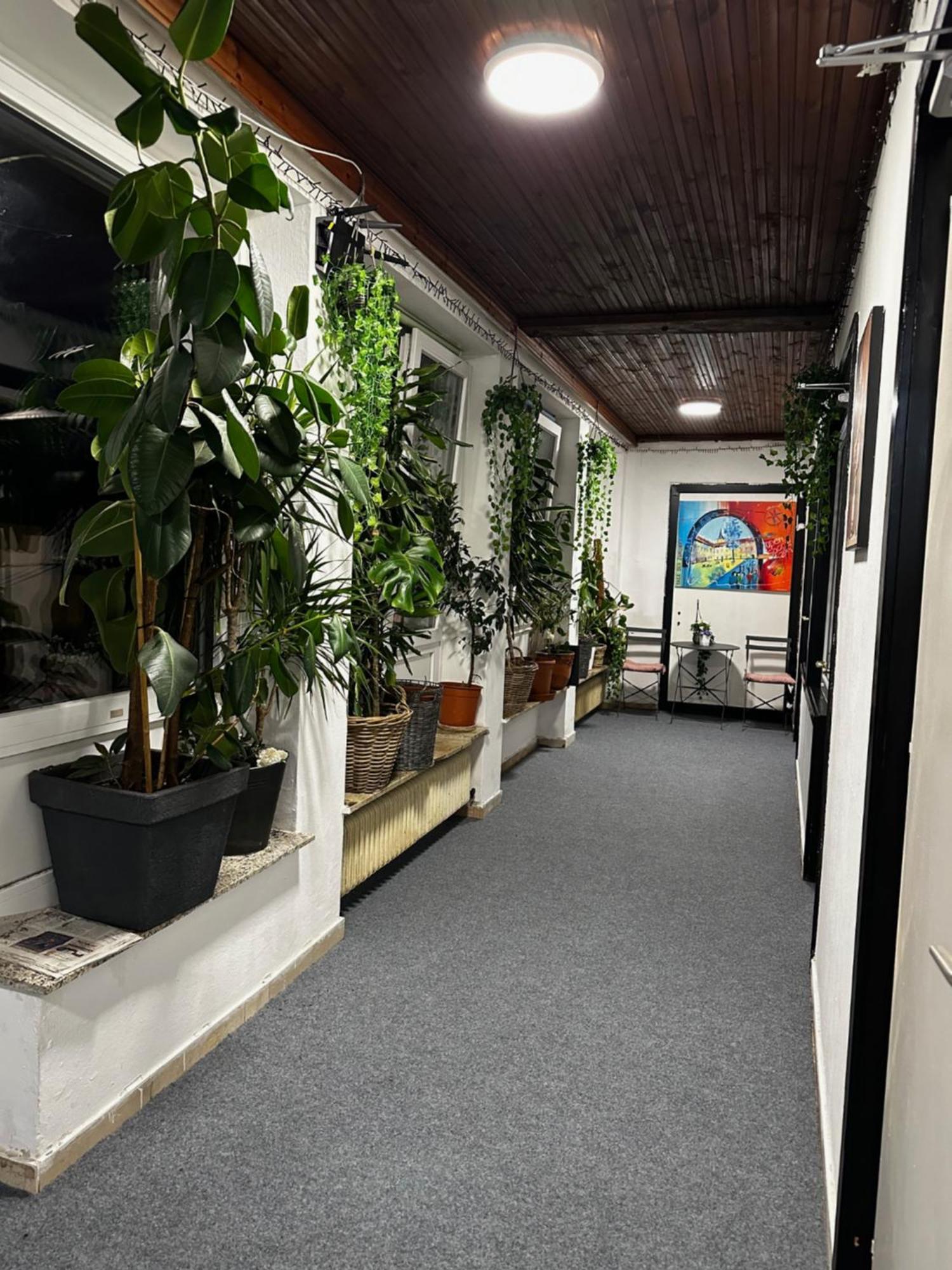 Hostel Lovely Rooms, City Center, Shared Bathroom, Windows To Corridor Villach Buitenkant foto