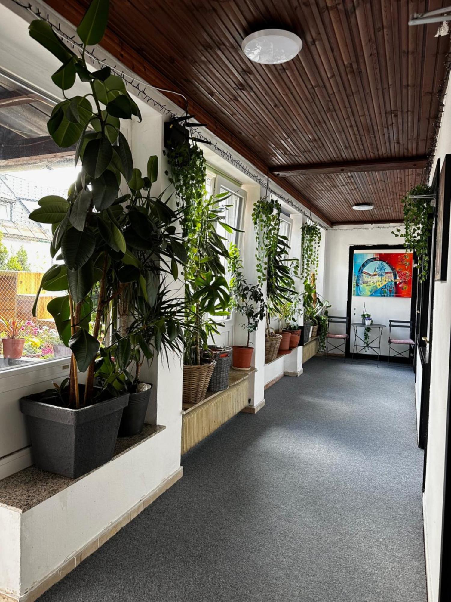 Hostel Lovely Rooms, City Center, Shared Bathroom, Windows To Corridor Villach Buitenkant foto